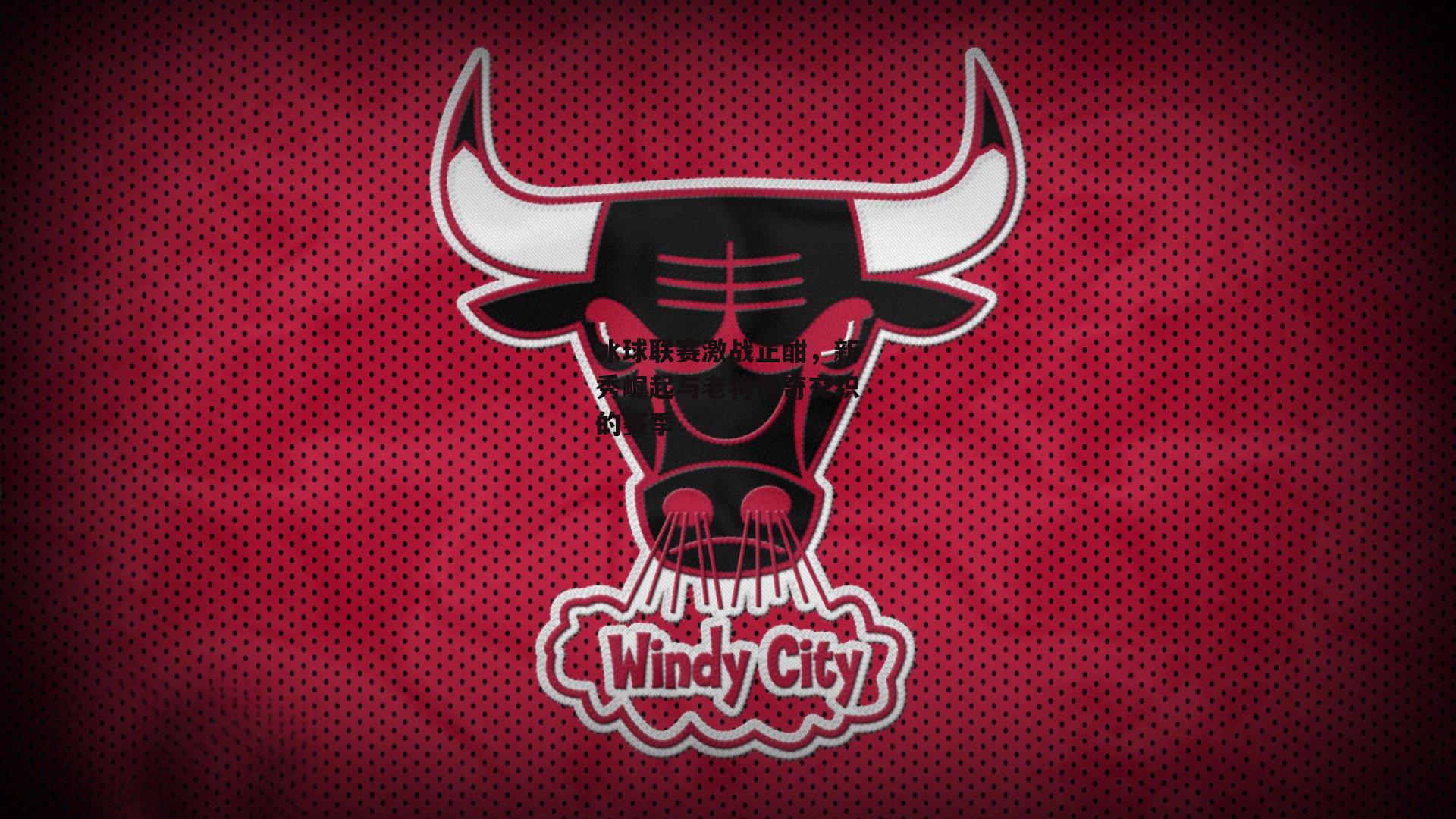 冰球联赛激战正酣，新秀崛起与老将传奇交织的赛季