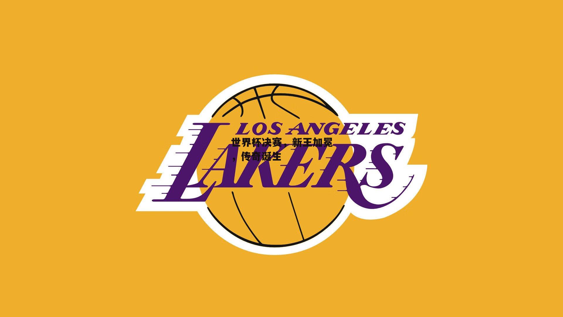 世界杯决赛，新王加冕，传奇诞生